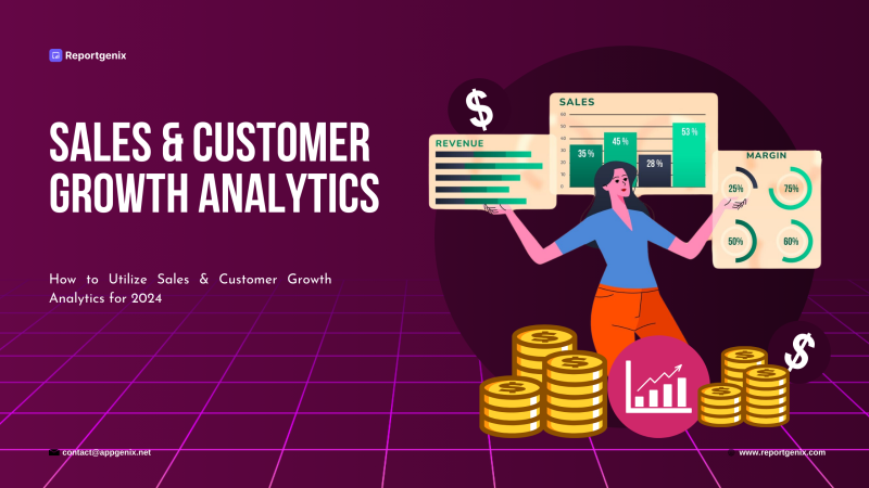 How to Utilize Sales & Customer Growth Analytics for 2024