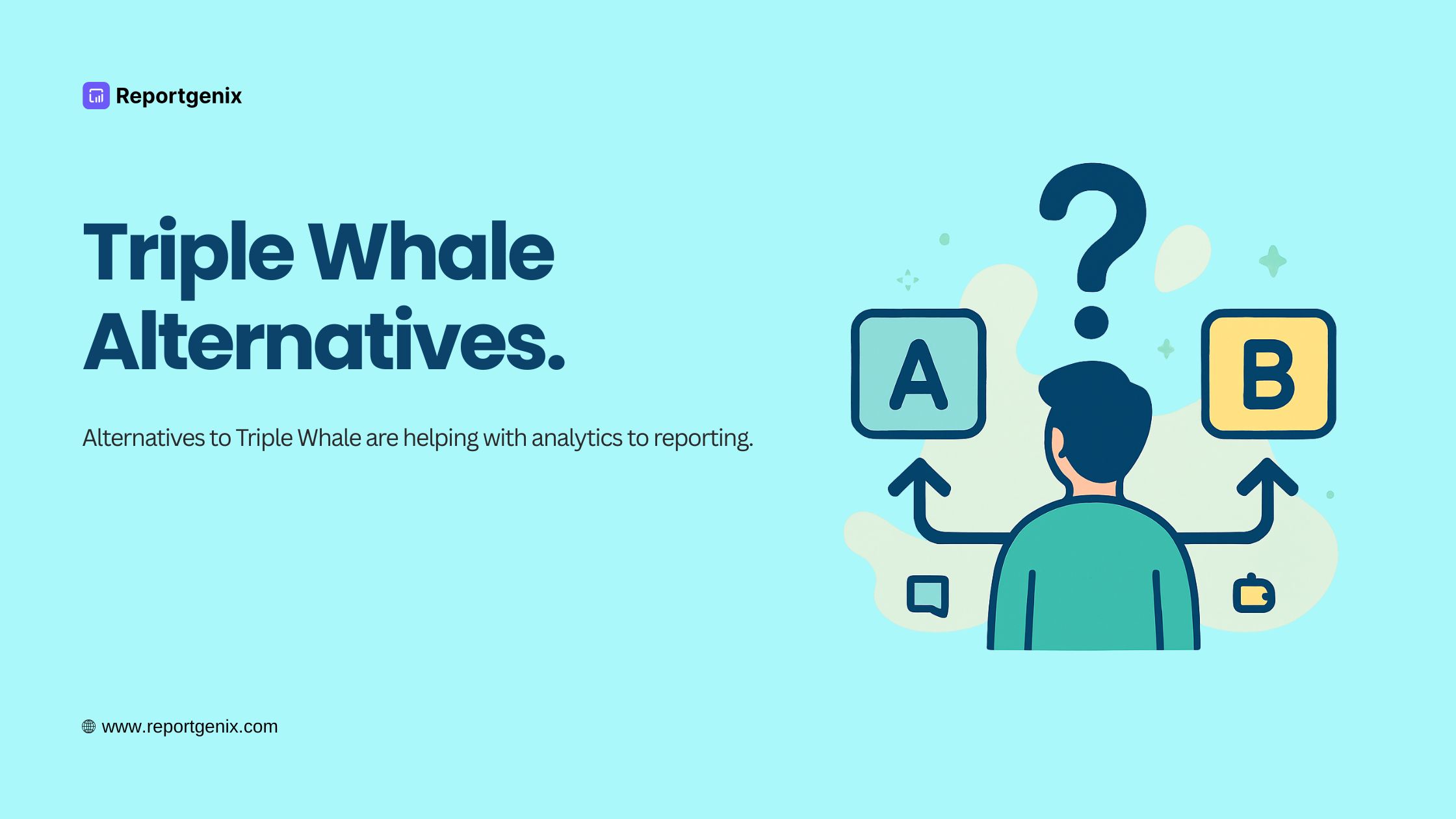 6 Best Triple Whale Alternatives for Shopify Stores in 2025 2 Triple Whale Alternatives.